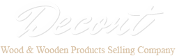 A professional Web Design Studio in China
